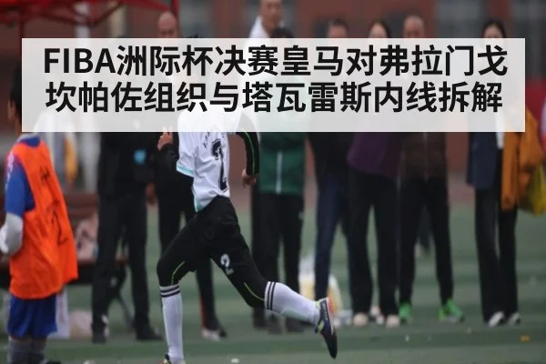 FIBA洲际杯决赛皇马对弗拉门戈 坎帕佐组织与塔瓦雷斯内线拆解（NG28）